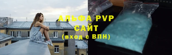 СК Алексин
